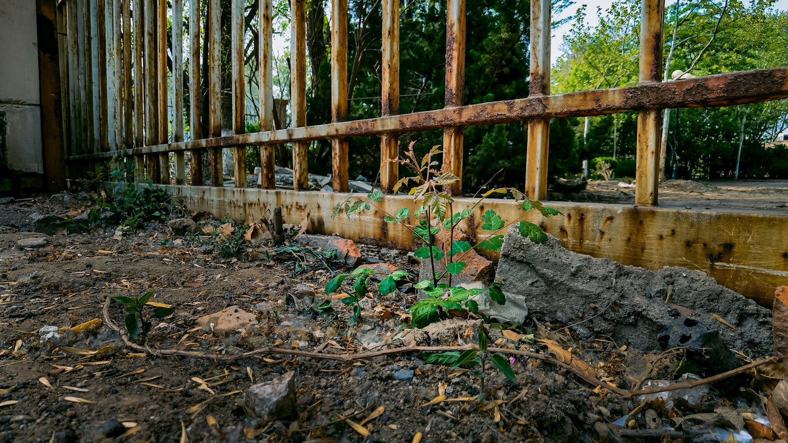 brown wooden fence near green plants during daytime